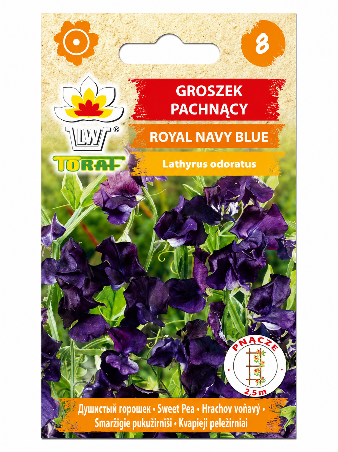 SMARŽĪGIE PUĶUZIRNĪŠI ROYAL NAVY BLUE, 1g