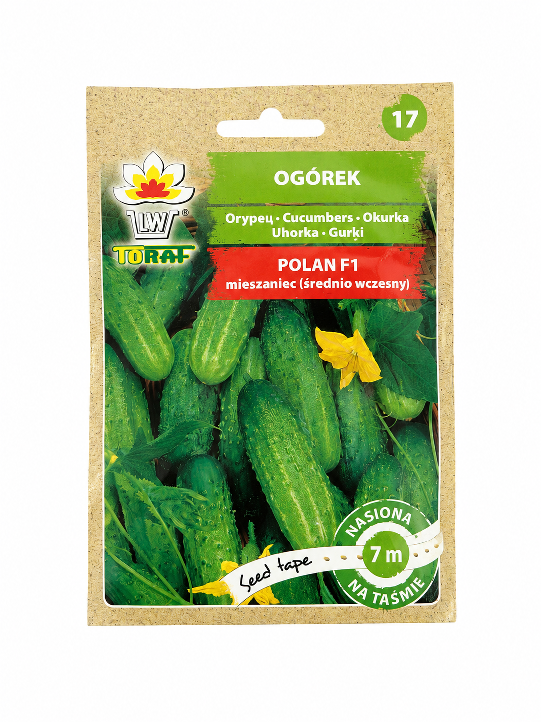 GURĶU SĒKLAS POLAN F1, 7m