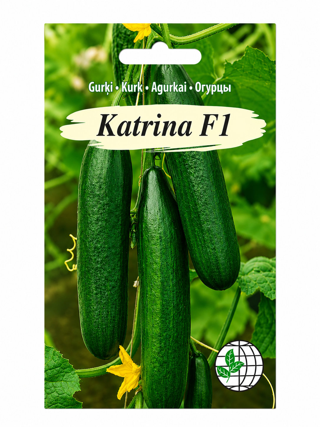 GURĶU SĒKLAS KATRINA F1, 3s