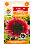 DECORATIVE SUNFLOWER CHERRY QUEEN, 2g