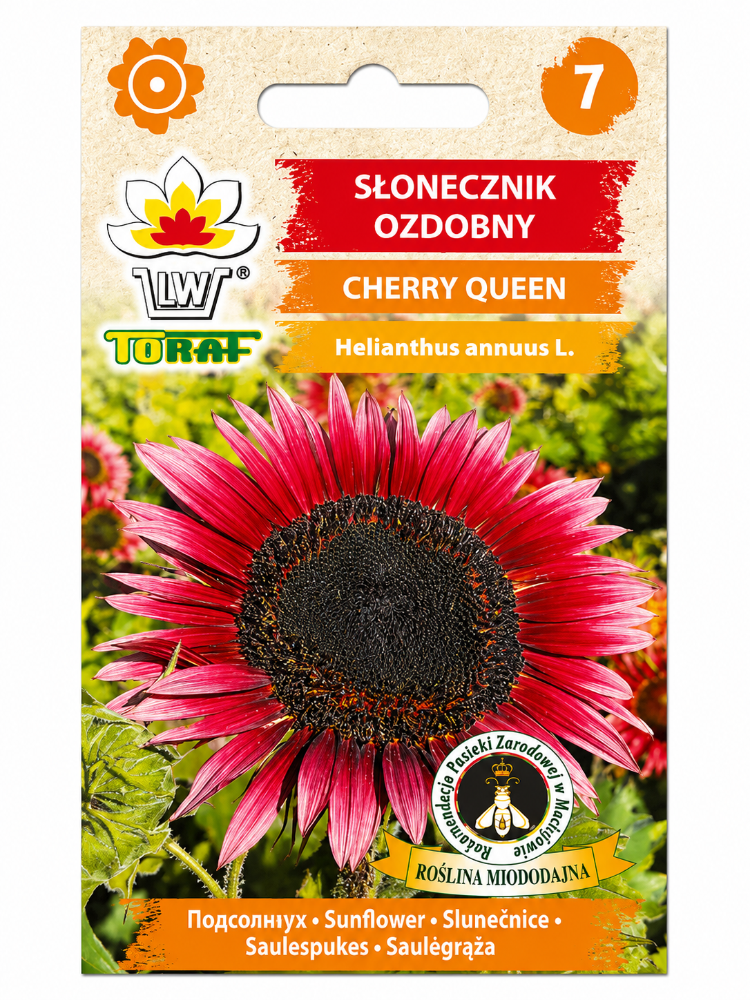 DECORATIVE SUNFLOWER CHERRY QUEEN, 2g