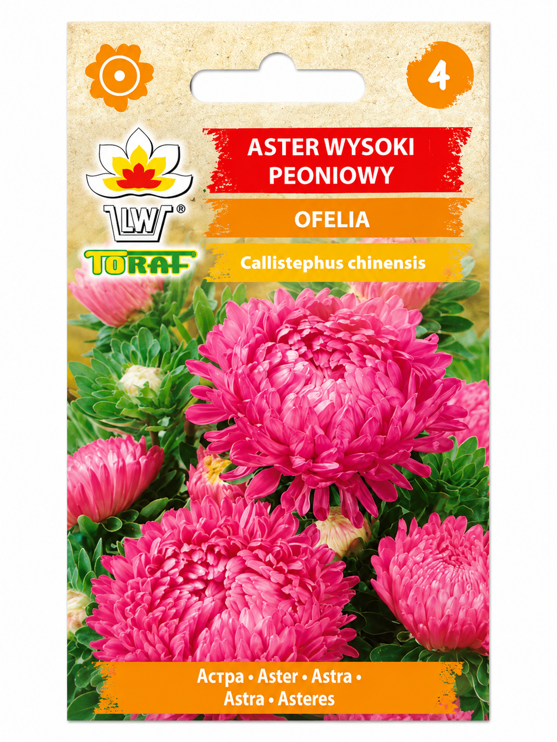 PEONIJU ASTERES OFELIA, 1g