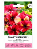 PETŪNIJAS SHAKE RASBERRY H, 20s