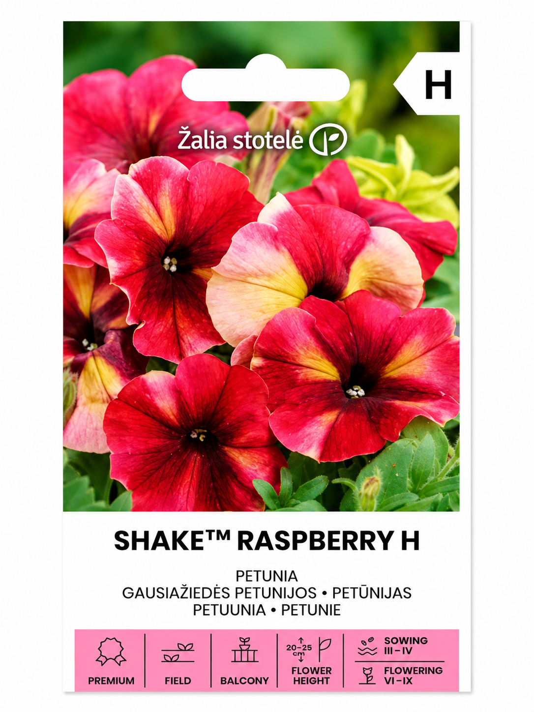 PETŪNIJAS SHAKE RASBERRY H, 20s