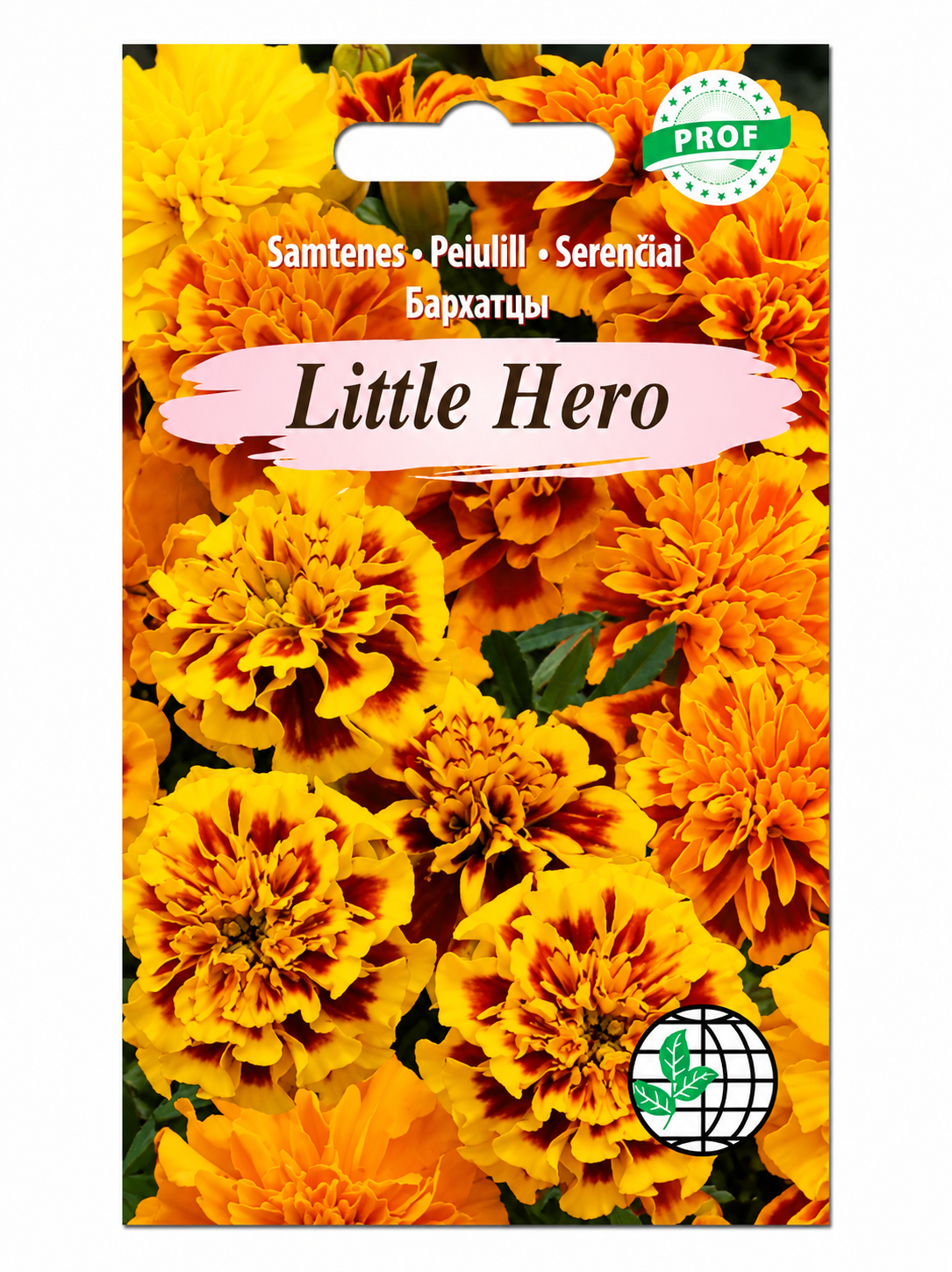 SAMTENES LITTLE HERO, 30s