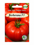 PROF TOMĀTU SĒKLAS BERBERANA F1, 7s