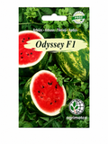 PROF ARBŪZU SĒKLAS ODYSSEY F1, 5s
