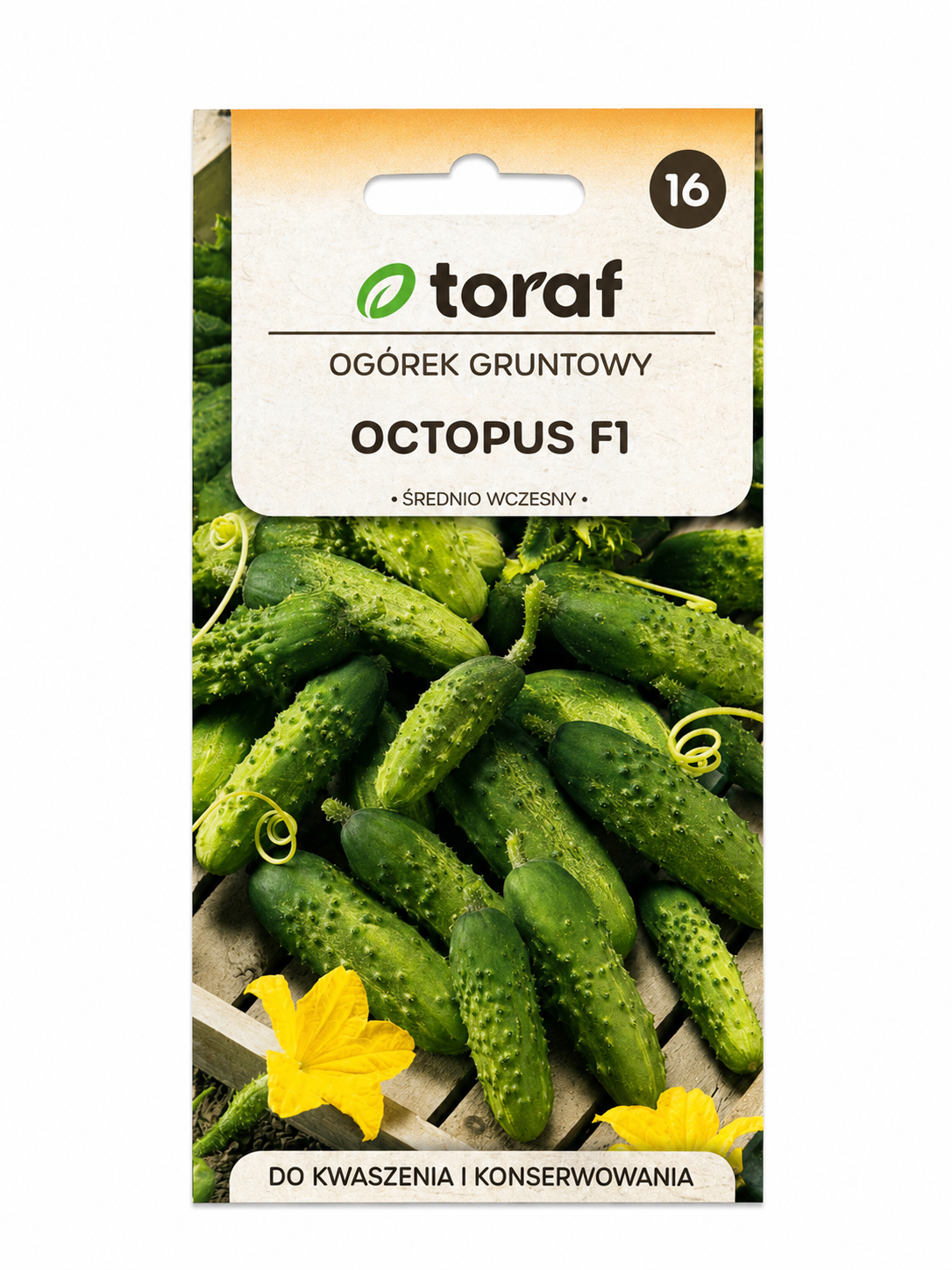 GURĶU SĒKLAS OCTOPUS F1, 1g