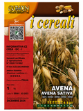 SĒJAS AUZAS, 1KG