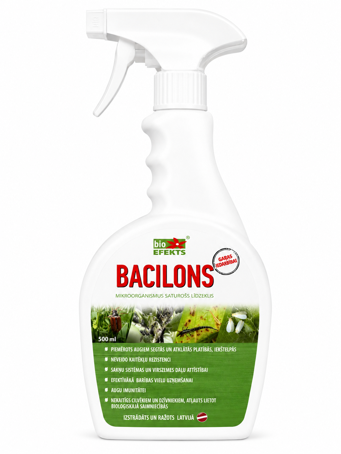 BACILONS, 500ML