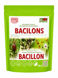 BIOEFEKTS BACILONS, 500G