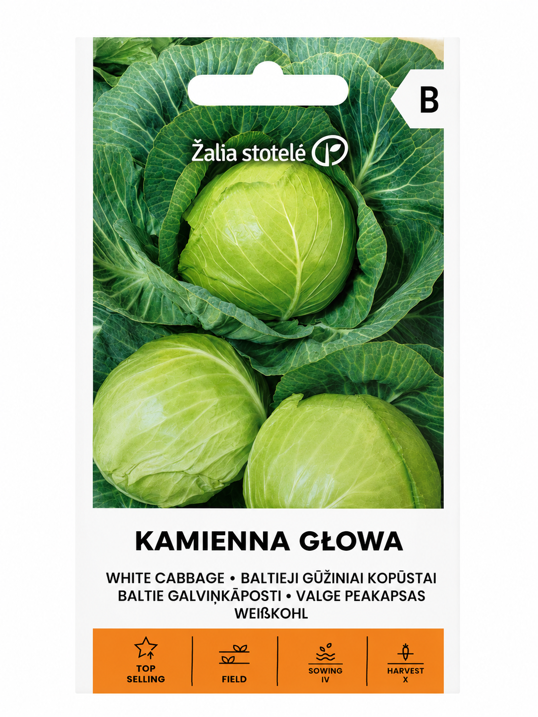 KĀPOSTU SĒKLAS KAMIENNA GLOWA, 3g