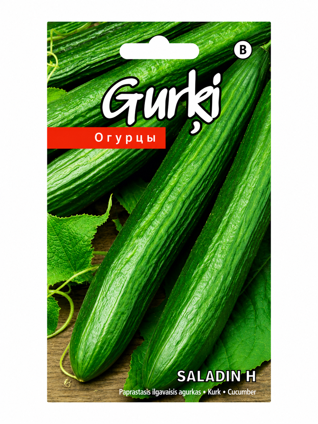 GURĶU SĒKLAS SALADIN H, 10s
