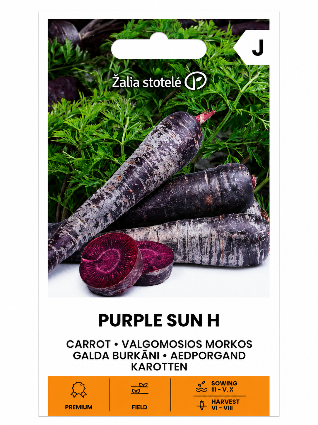BURKĀNU SĒKLAS PURPLE SUN H, 0,5g