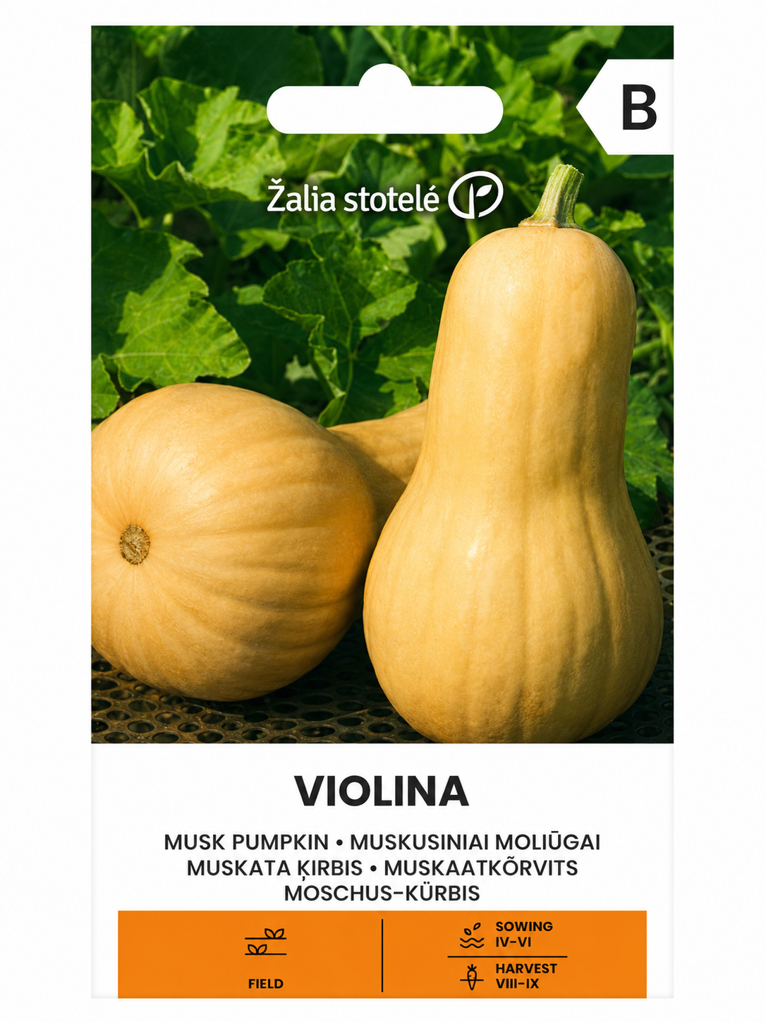 ĶIRBJU SĒKLAS VIOLINA, 2g