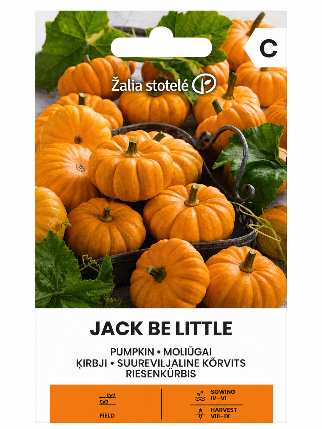 ĶIRBJU SĒKLAS JACK BE LITTLE, 1g