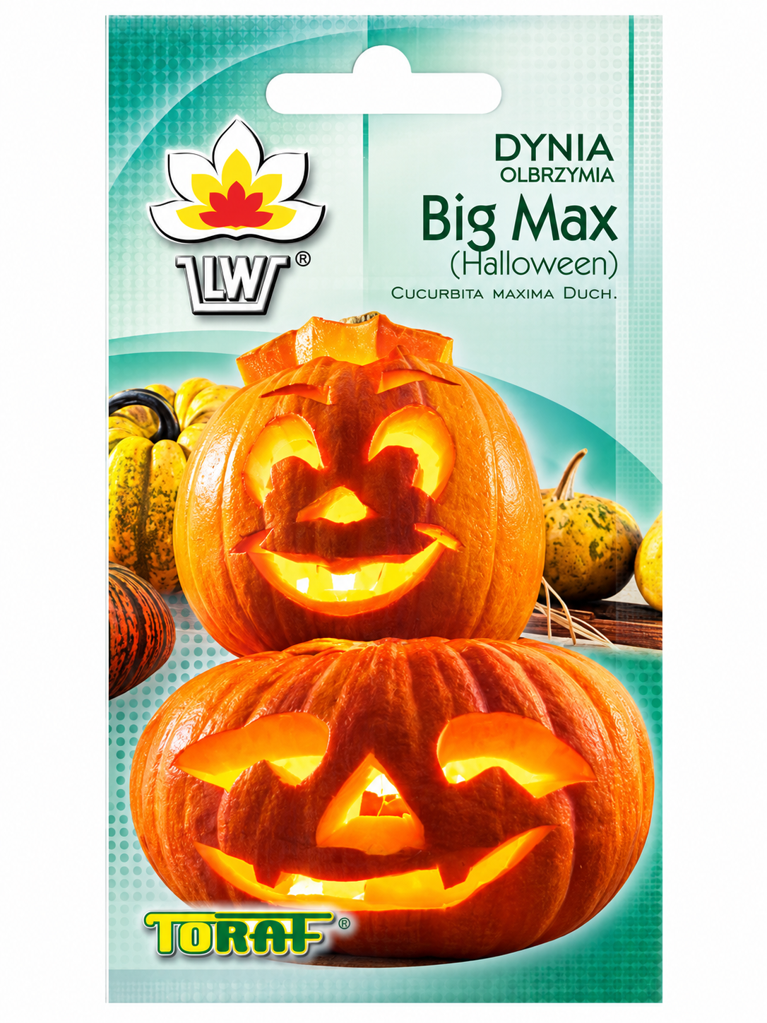ĶIRBJU SĒKLAS BIG MAX(HALLOWEEN), 4g