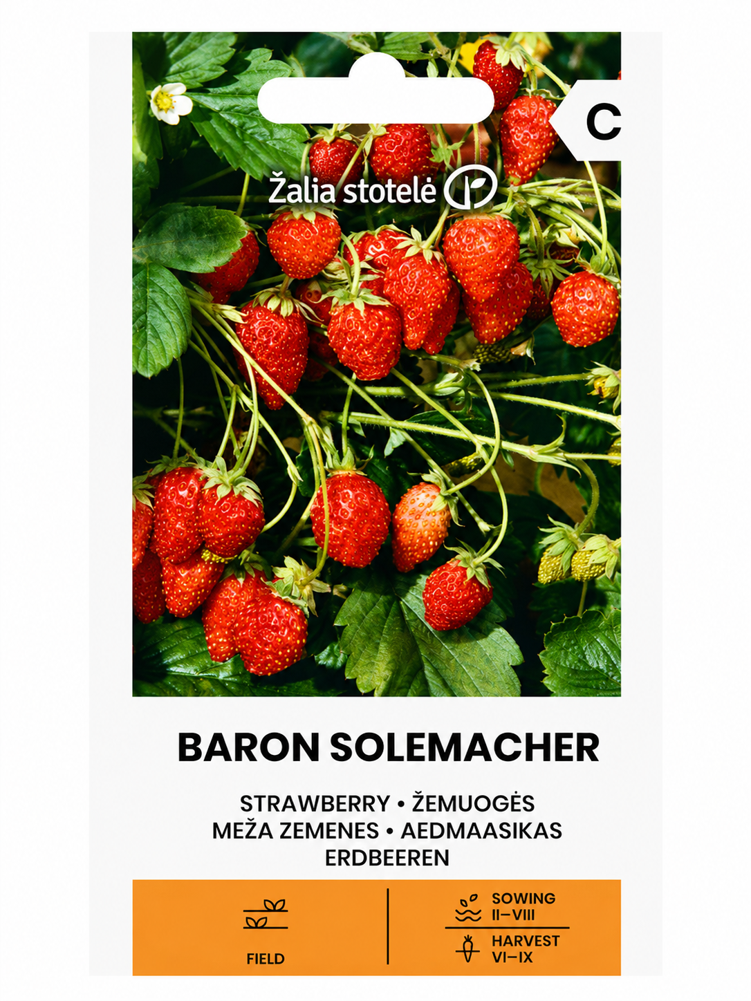 WILD STRAWBERRY BARON SOLEMACHER, 0.1g