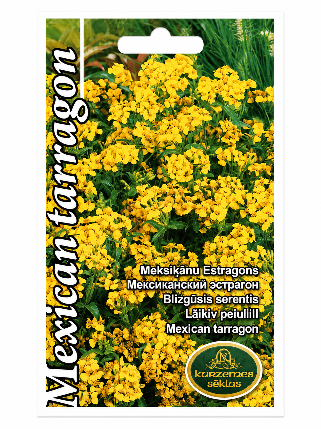 MEKSIKĀŅU ESTRAGONS, 0,1g