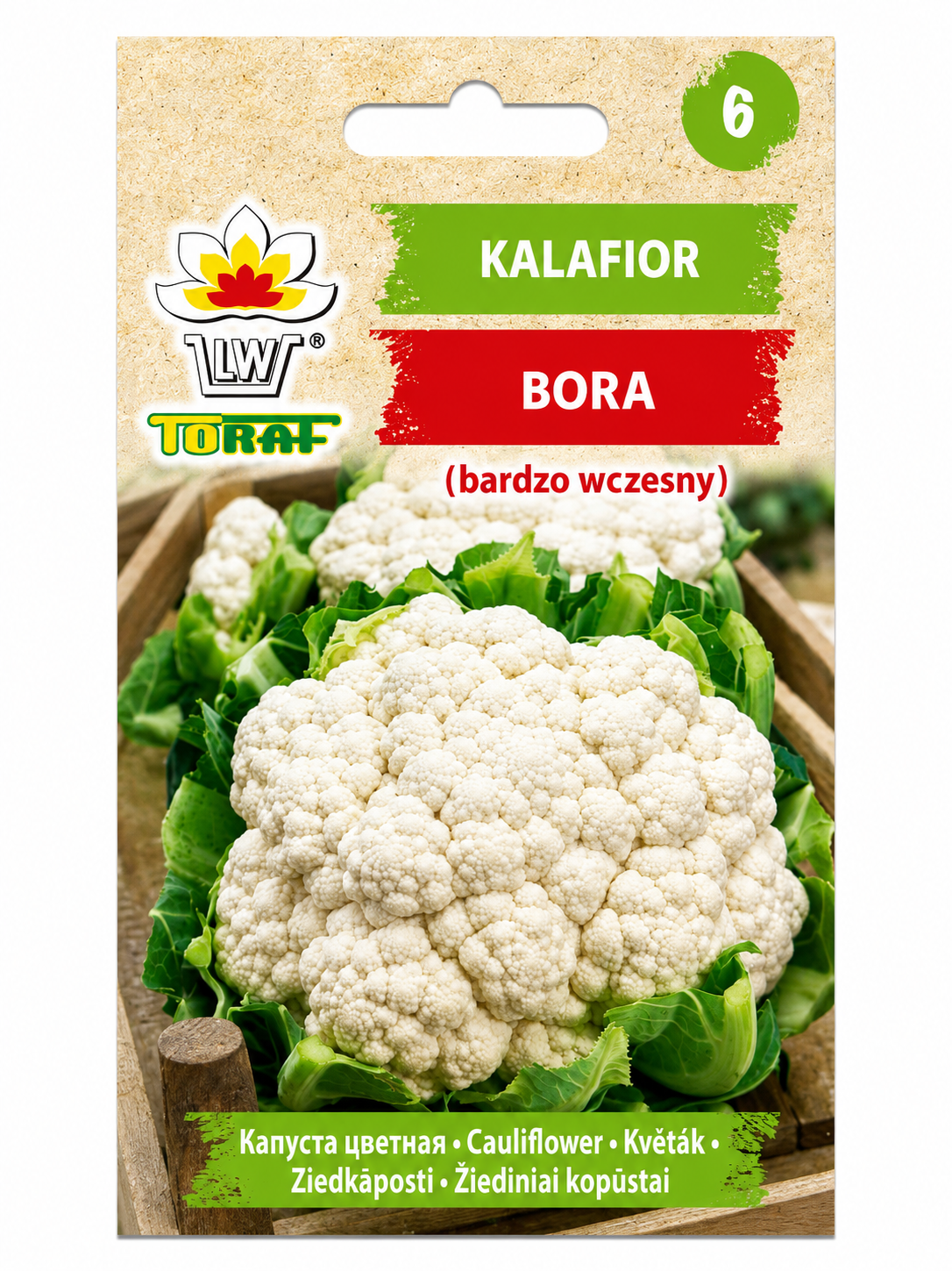 ZIEDKĀPOSTU SĒKLAS BORA, 1g
