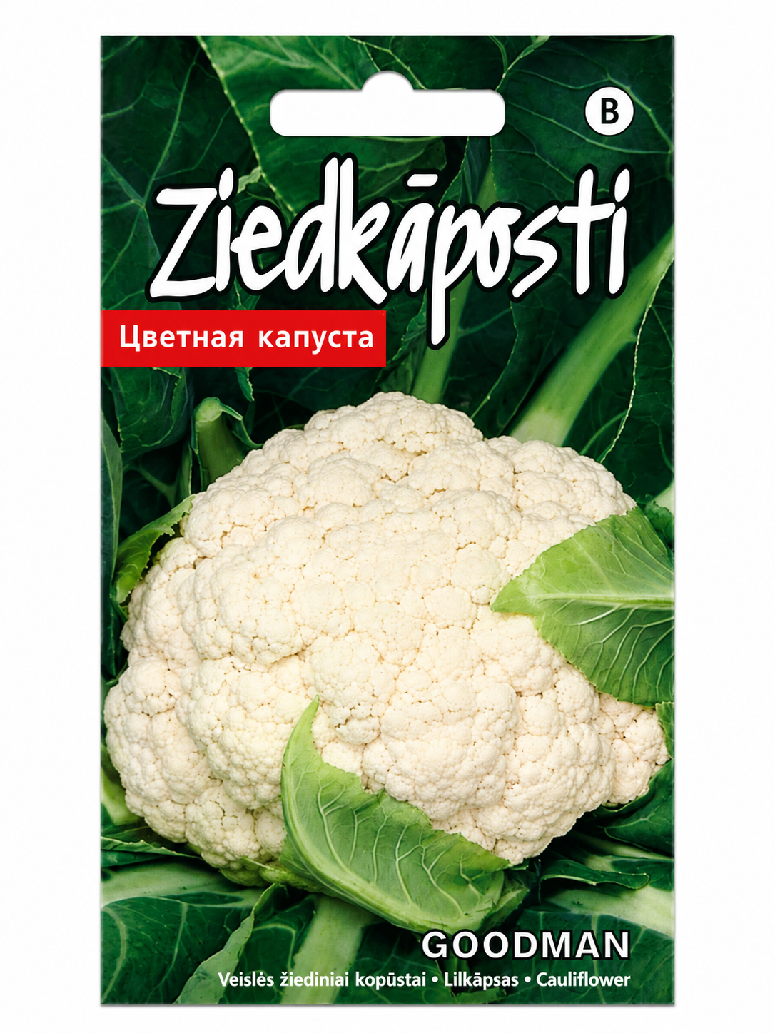 ZIEDKĀPOSTA SĒKLAS GOODMAN, 30s