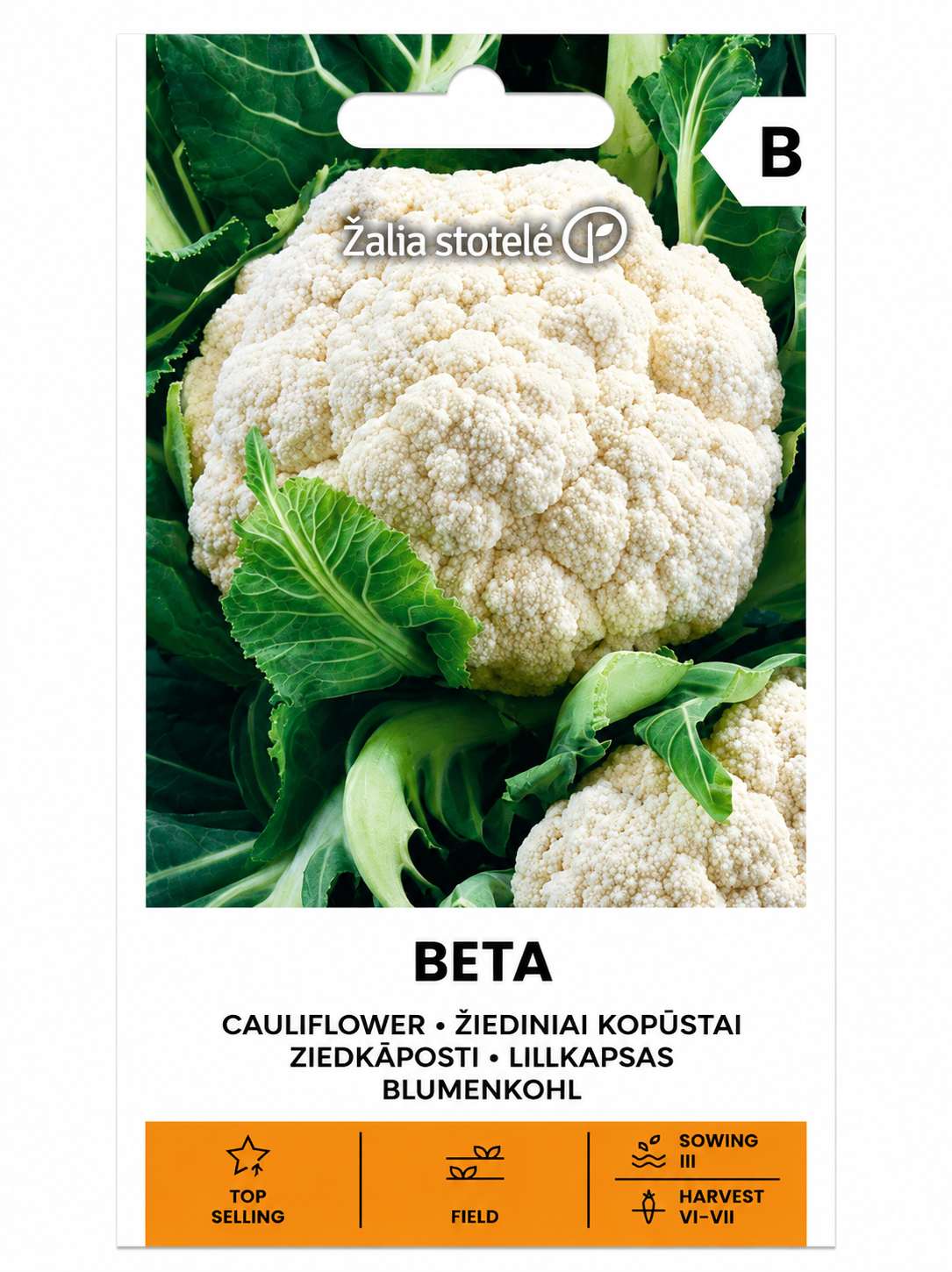 ZIEDKĀPOSTU SĒKLAS BETA, 1g