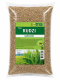 WINTER RYE, 1kg