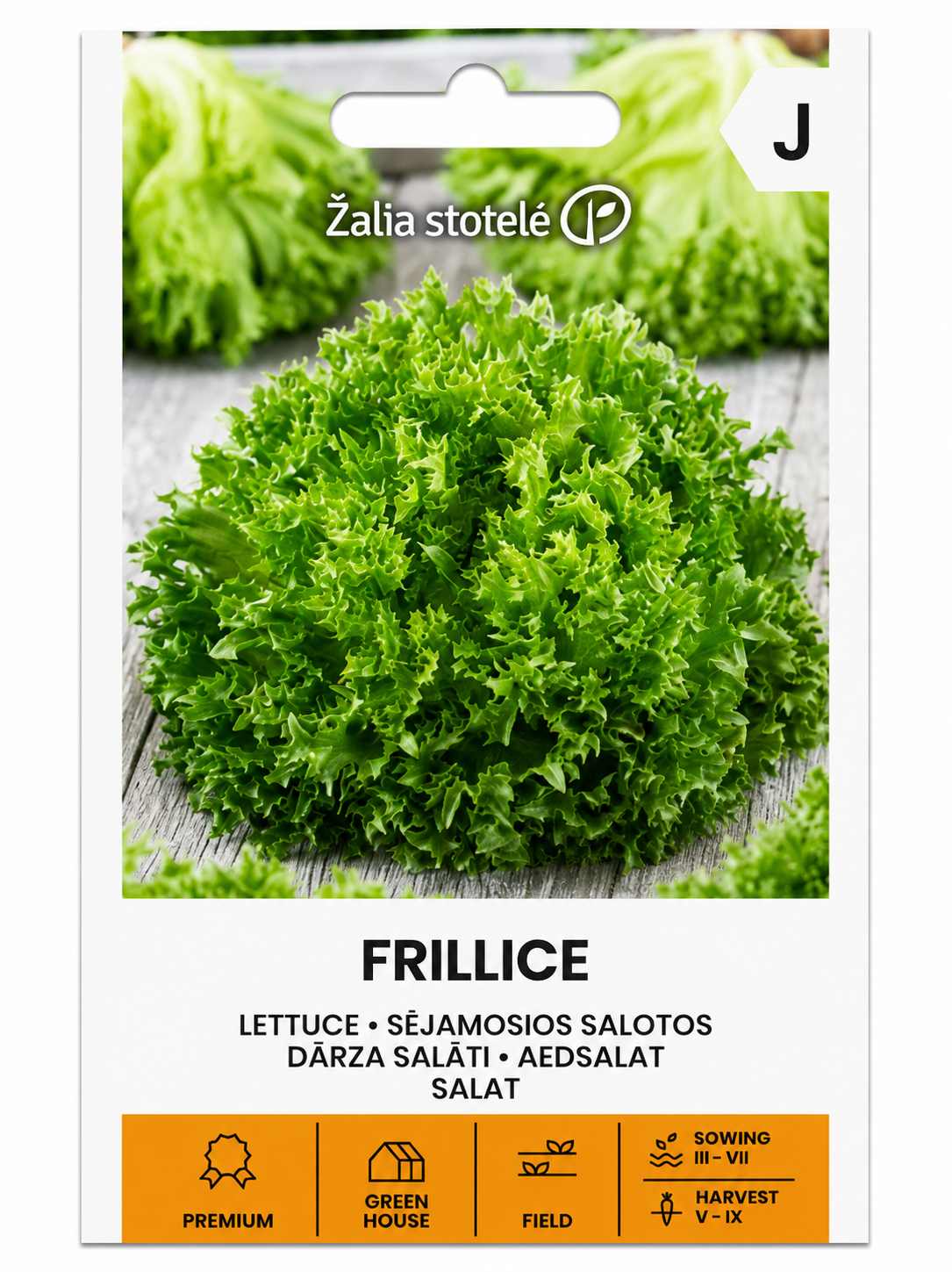 LETTUCE FRILLICE, 25g