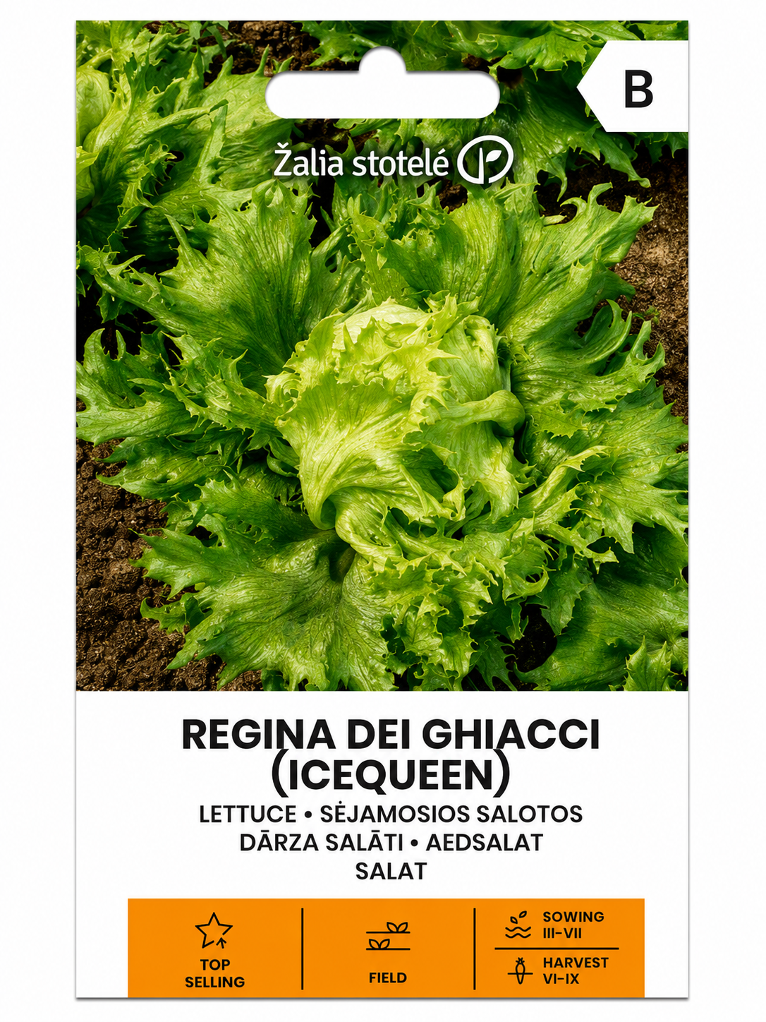 DĀRZA SALĀTI REGINA DEI GHIACCI (ICEQEEN), 1g