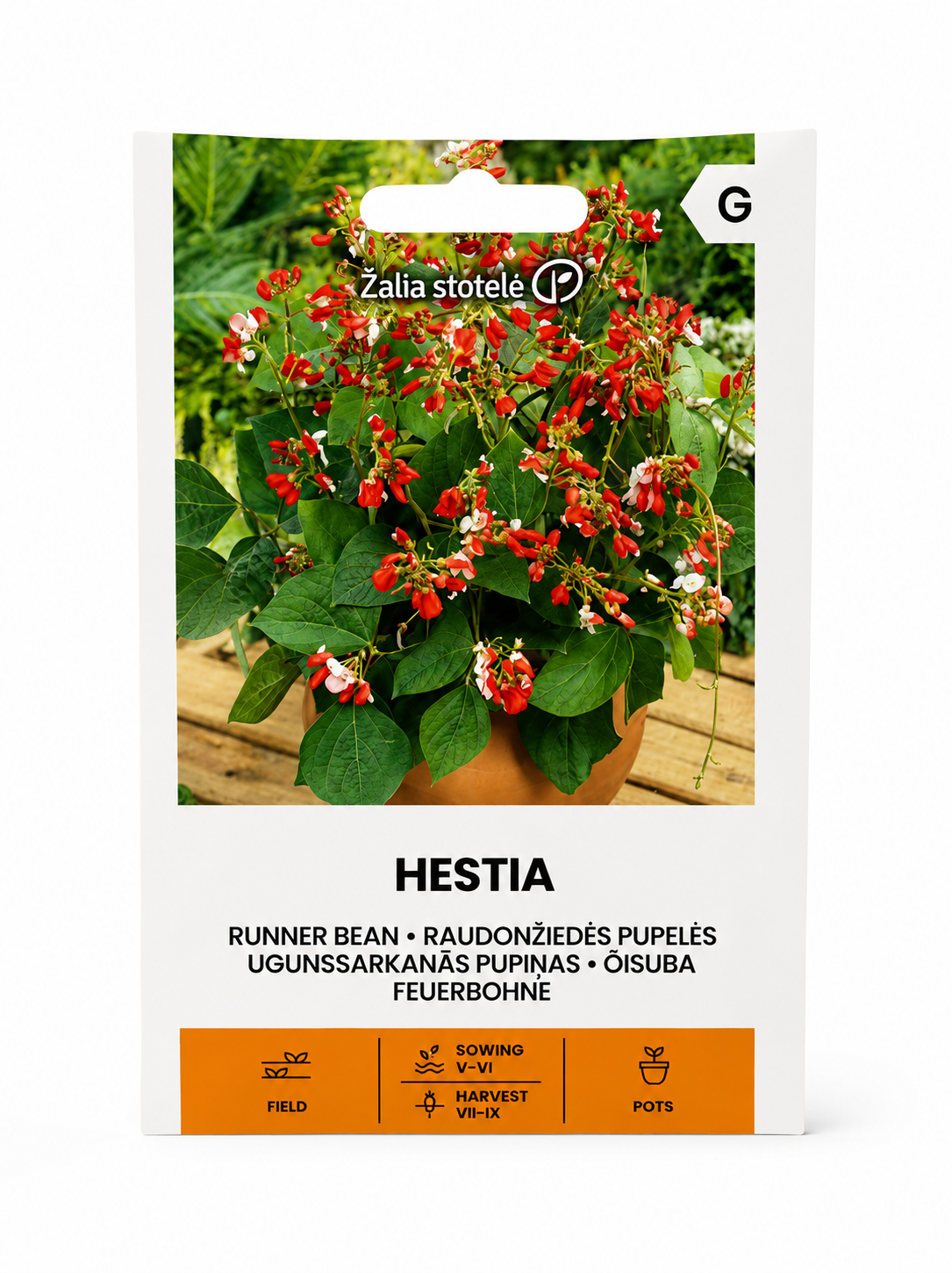 UGUNSARKANĀS PUPIŅAS HESTIA, 10g